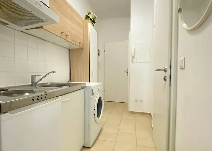 Deluxe In Josefstaedter Strasse Area Διαμέρισμα Βιέννη